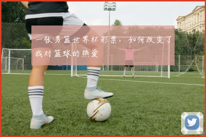 一张男篮世界杯彩票,如何改变了我对篮球的热爱