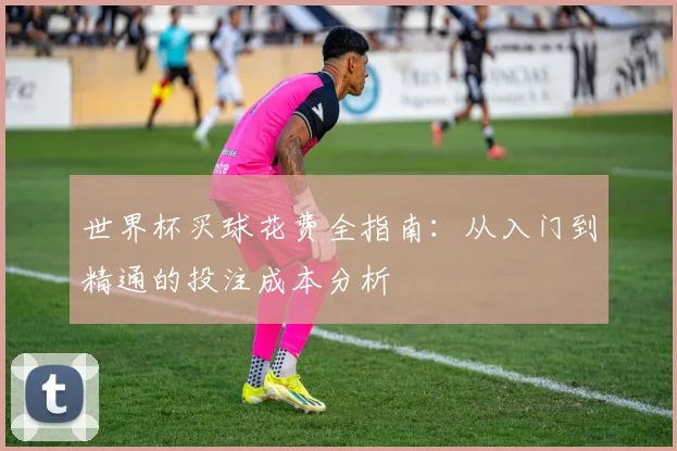 世界杯买球花费全指南:从入门到精通的投注成本分析