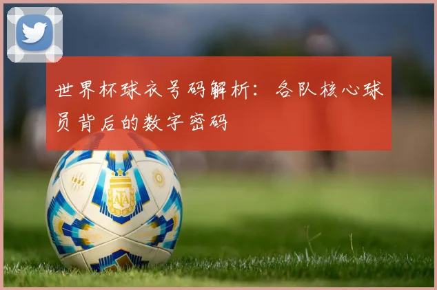 世界杯球衣号码解析:各队核心球员背后的数字密码