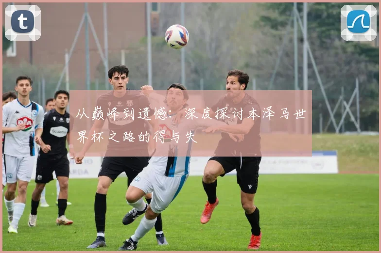 从巅峰到遗憾:深度探讨本泽马世界杯之路的得与失