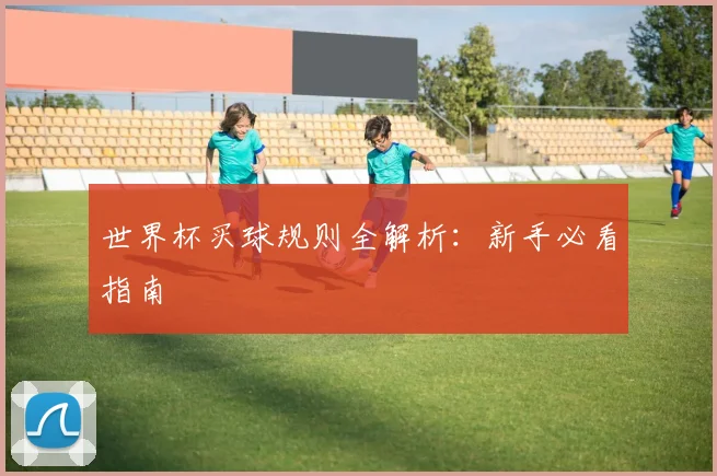世界杯买球规则全解析：新手必看指南