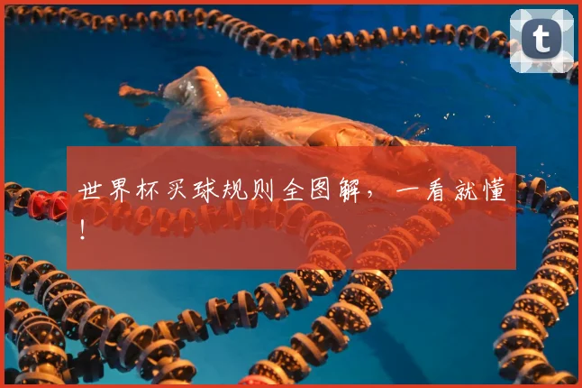 世界杯买球规则全图解,一看就懂!