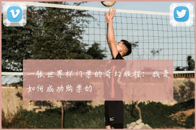 一张世界杯门票的奇幻旅程：我是如何成功购票的