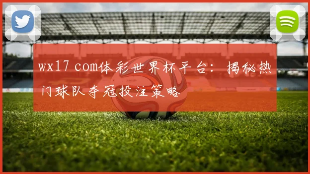 wx17 com体彩世界杯平台：揭秘热门球队夺冠投注策略