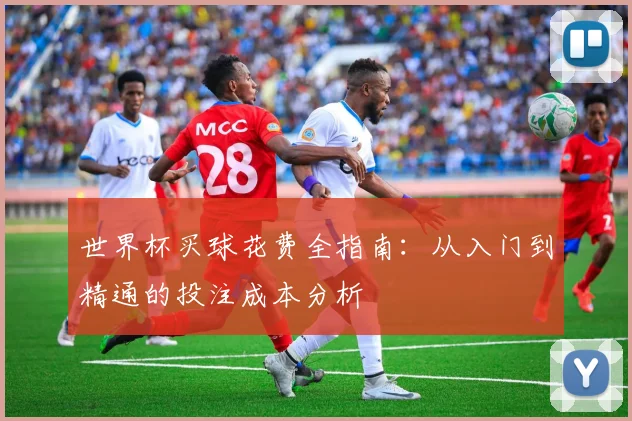 世界杯买球花费全指南:从入门到精通的投注成本分析
