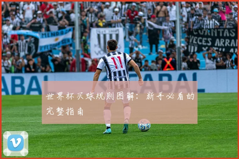世界杯买球规则图解：新手必看的完整指南