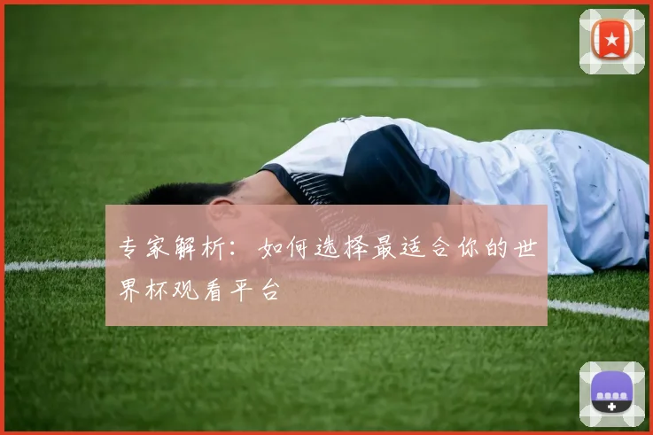 专家解析：如何选择最适合你的世界杯观看平台