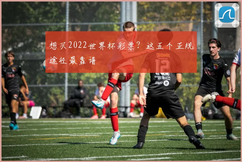 想买2022世界杯彩票？这五个正规途径最靠谱